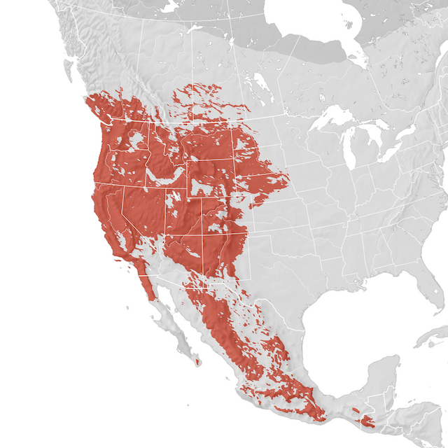 Range Map