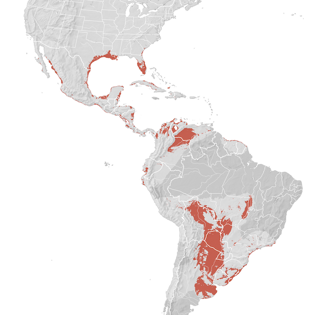 Mapa de distribuição