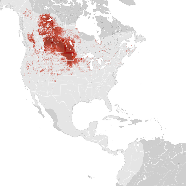 Mapa de Abundância