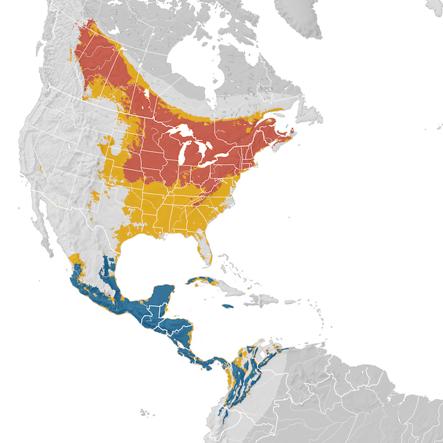 Mapa de Distribuição