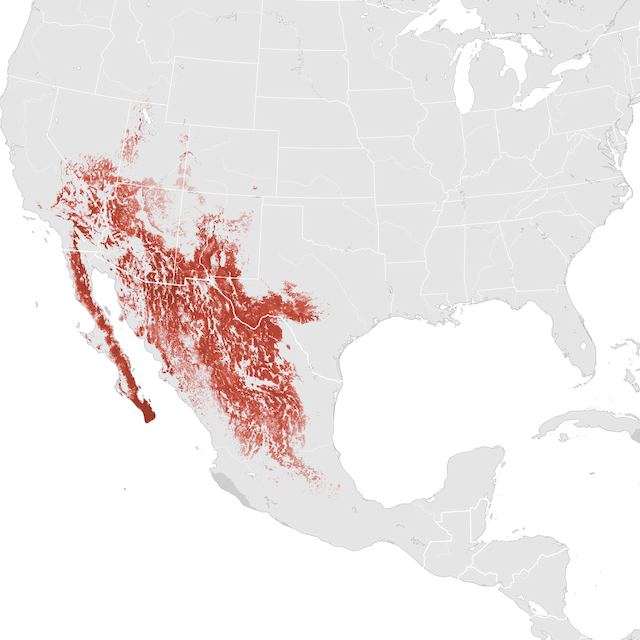 Abundance Map