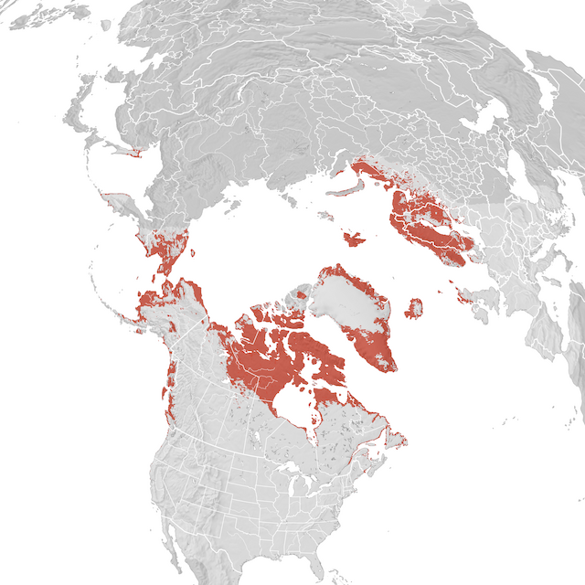 Mappa di distribuzione