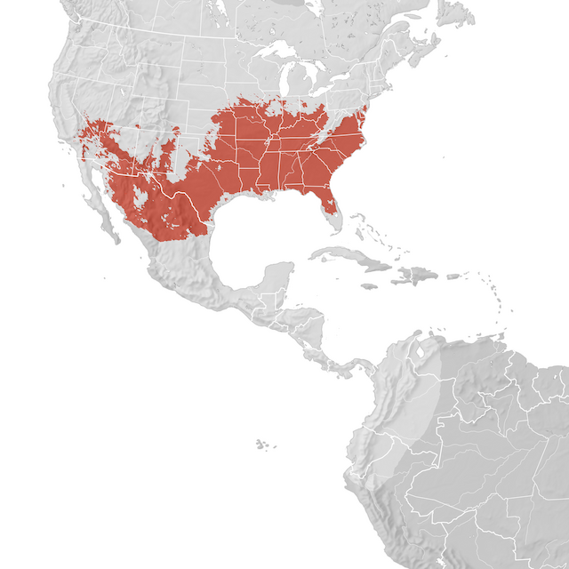 Mappa di distribuzione