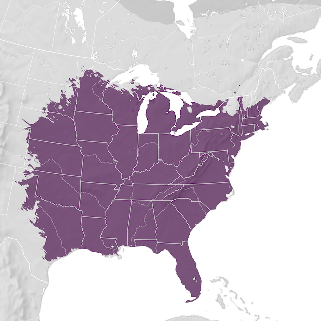 Mapa de distribuição