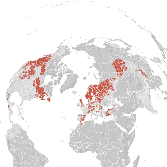 Mappa di distribuzione