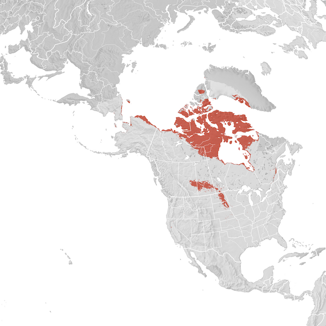 Mappa di distribuzione