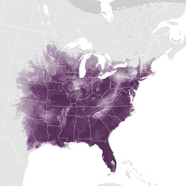 Abundance Map