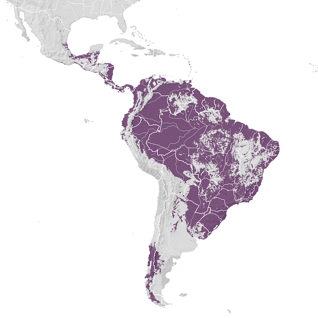 Mapa de distribuição