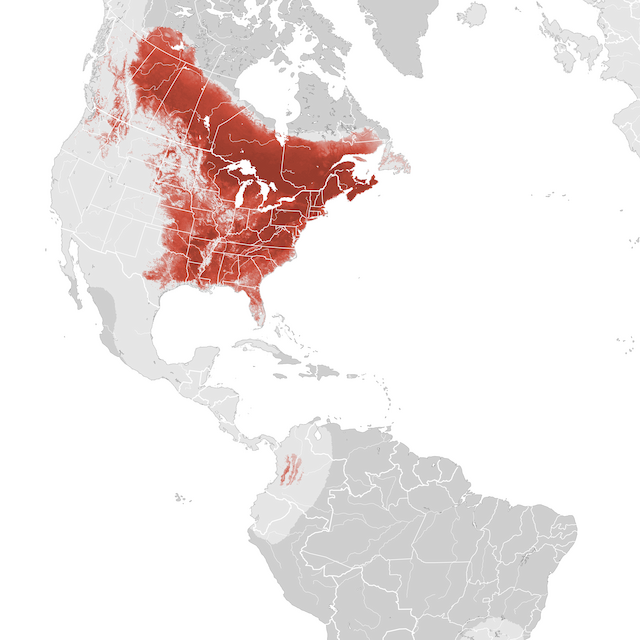 Abundance Map