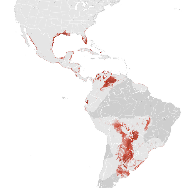 Mapa de abundancia