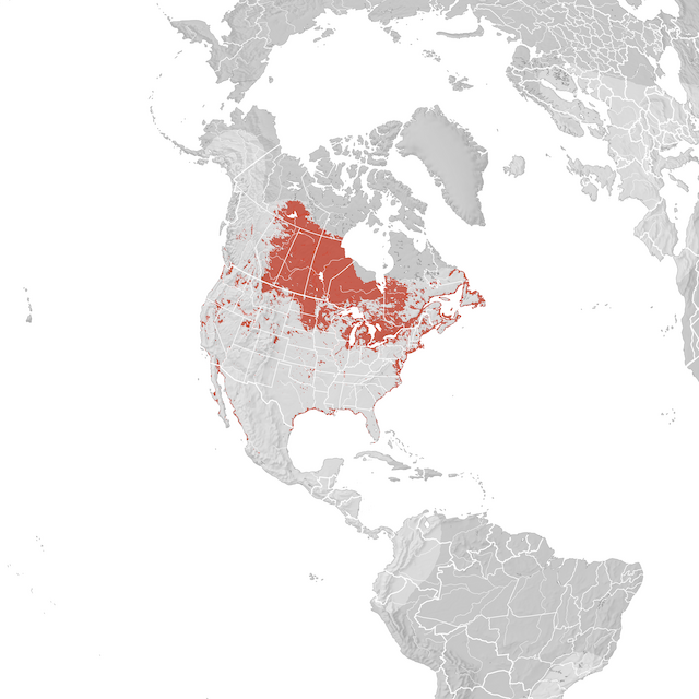 Mapa de distribuição