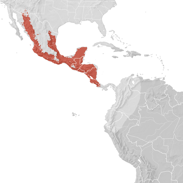 Mapa de Distribuição