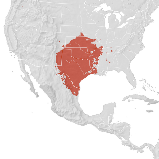 Mappa di distribuzione