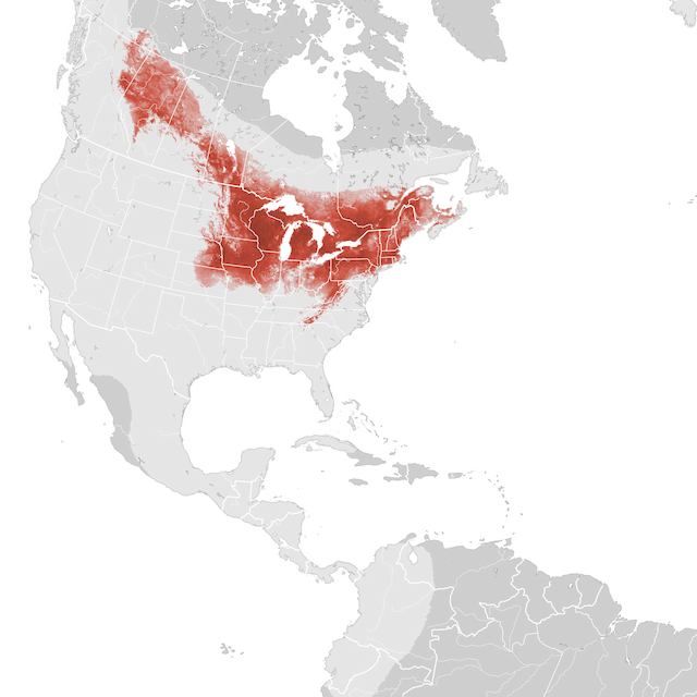 Mapa de Abundância