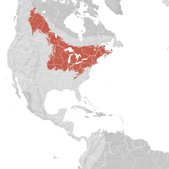 Mapa de Distribuição