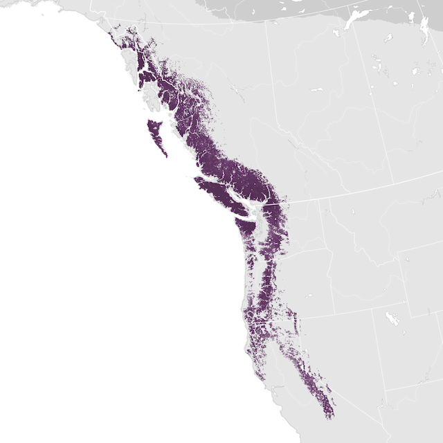 Mapa de Abundância