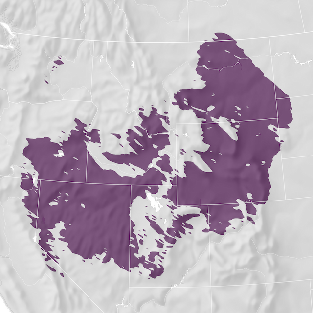 Mapa de Distribuição