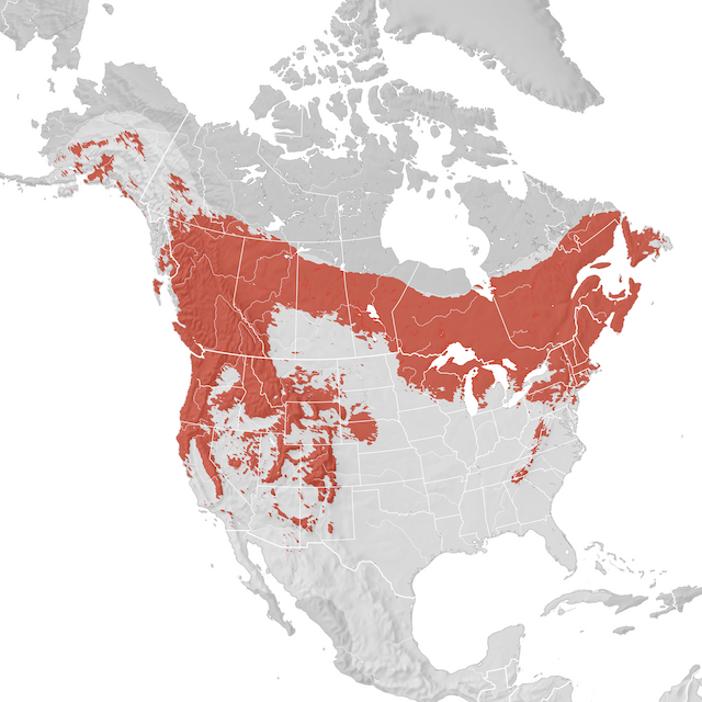 Carte de distribution