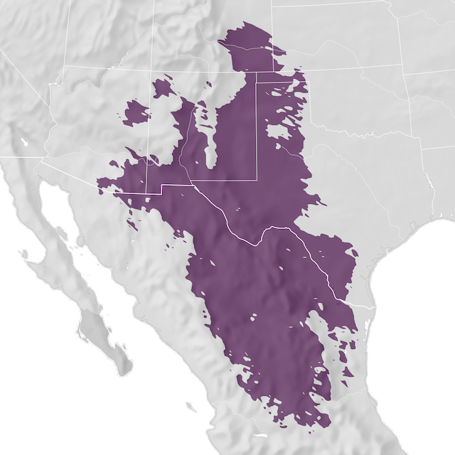 Mapa de Distribuição