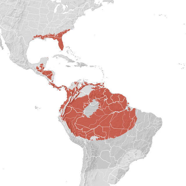 Mappa di distribuzione