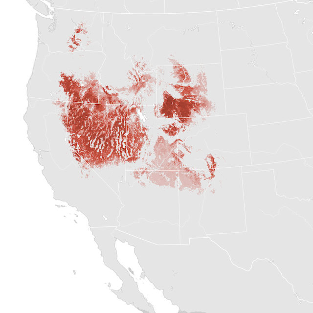 Abundance Map