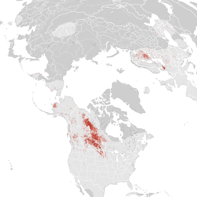 Abundance Map