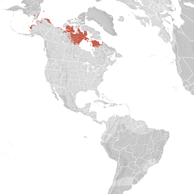 Mapa de distribuição