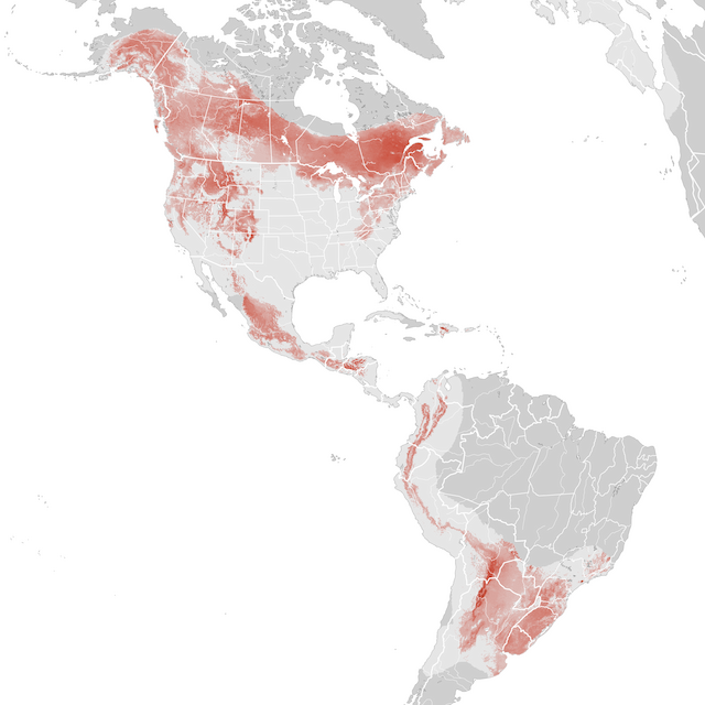 Abundance Map