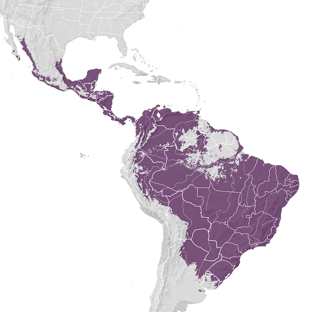 Mappa di distribuzione