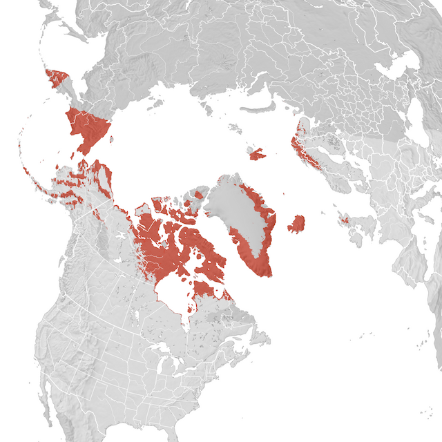 Mapa de distribuição