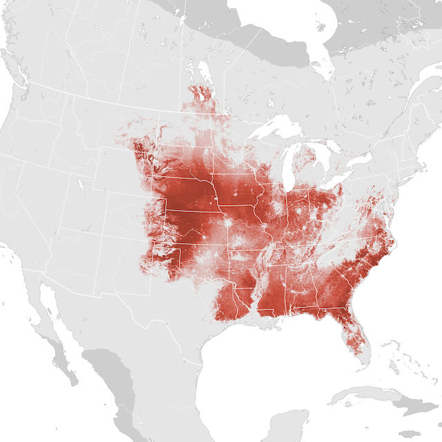 Abundance Map