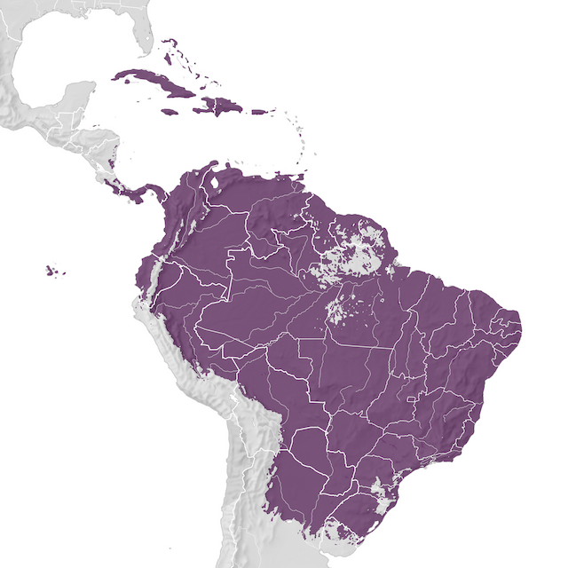 Mapa de Distribuição