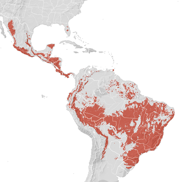 Mapa de Distribuição