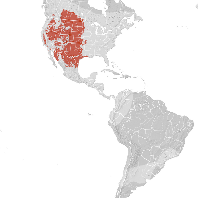 Mappa di distribuzione