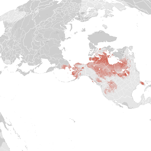 Mapa de abundâcia