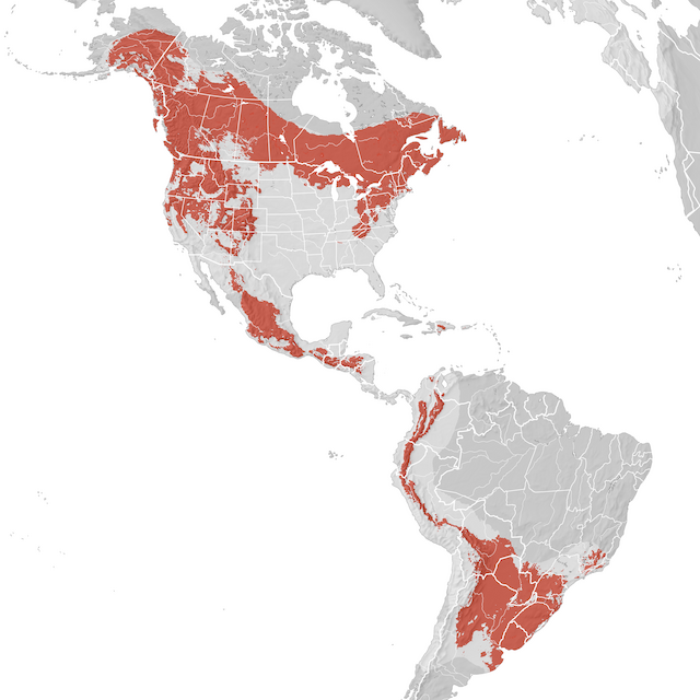 Carte de distribution