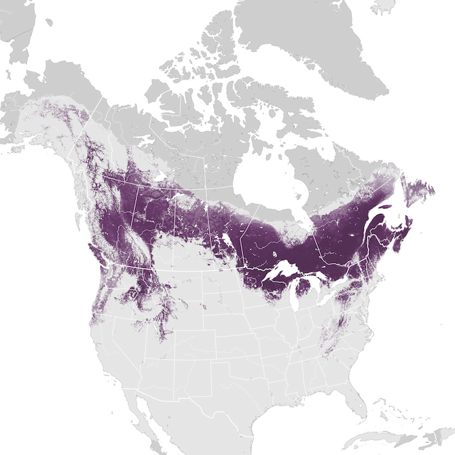 Abundance Map