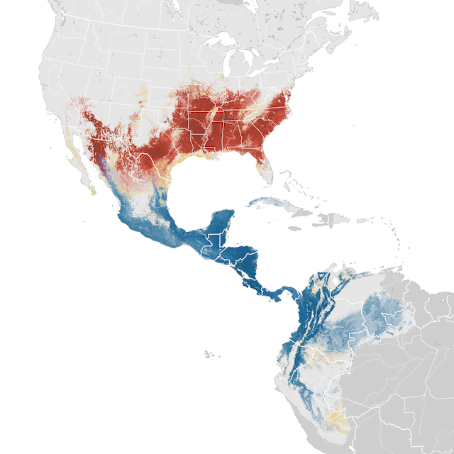 Mapa de Abundância