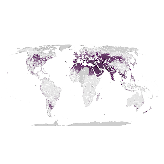 Abundance Map