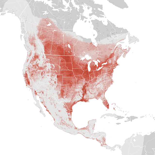 Abundance Map