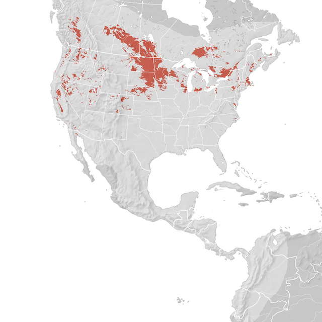 Carte de distribution