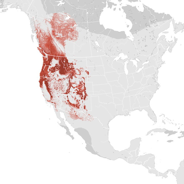 Abundance Map