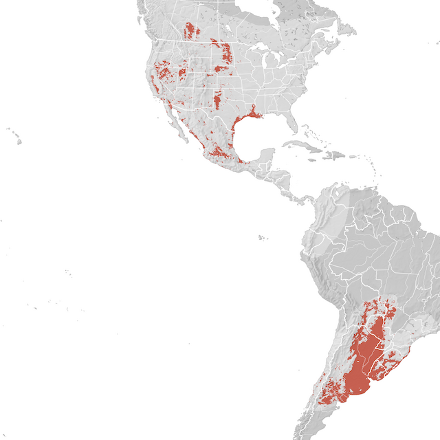 Mapa de Distribuição