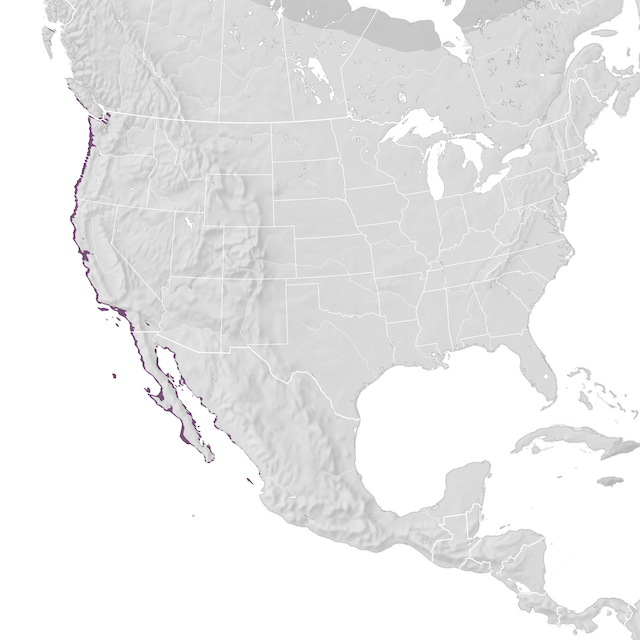 Mapa de distribuição