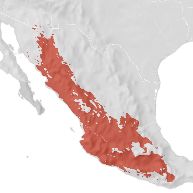 Range Map