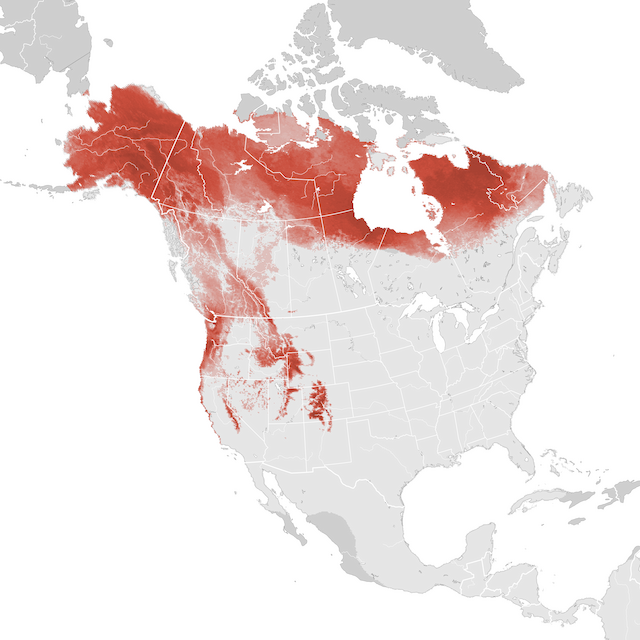 Mapa de abundâcia