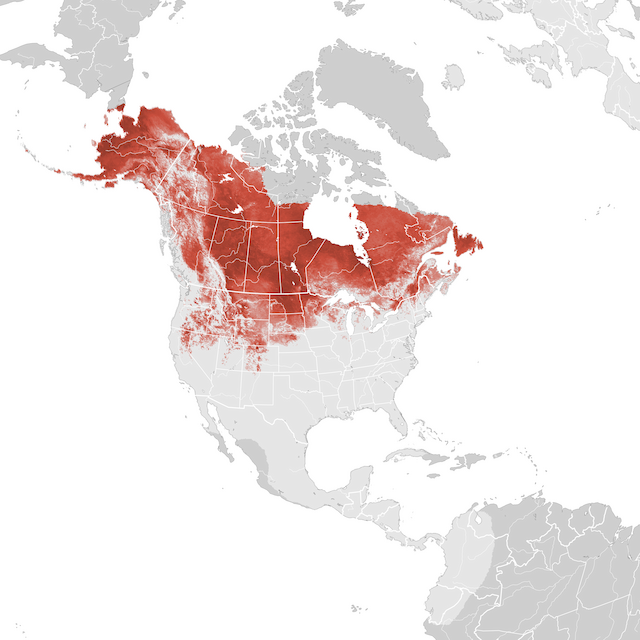 Abundance Map