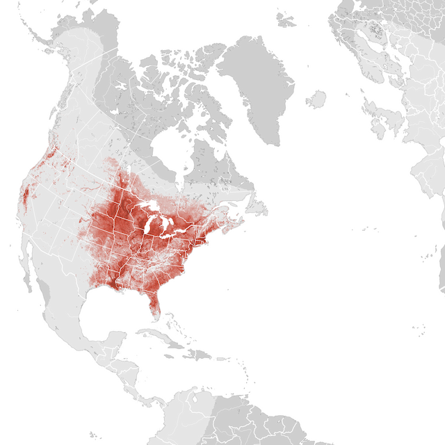 Mapa de Abundância