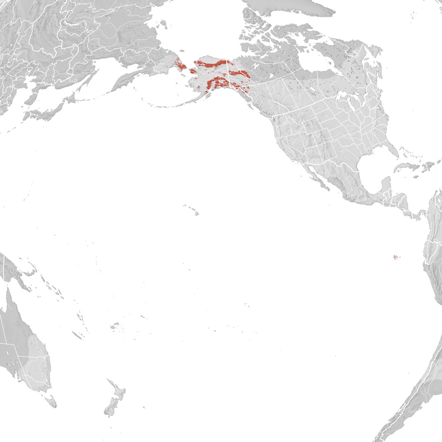 Carte de distribution