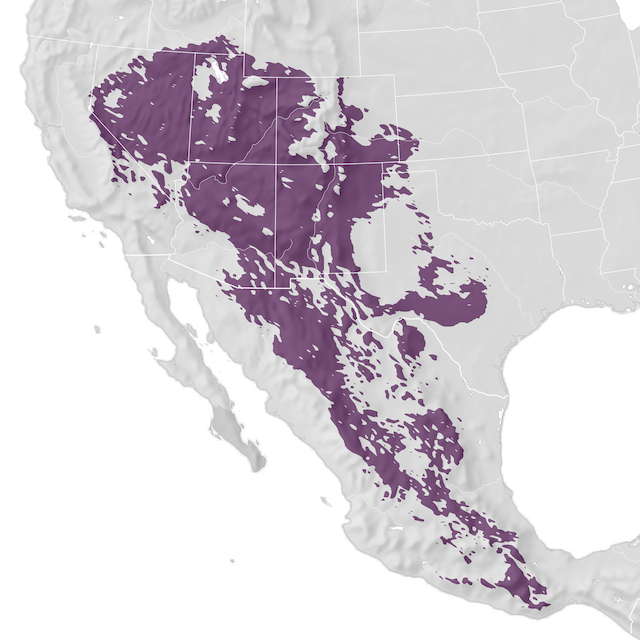 Mapa de distribuição